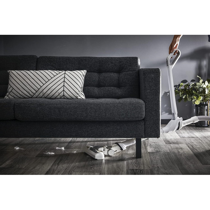 Акумуляторний вертикальний пилосос Rowenta IX7777 X- 230 Вт повітря акумуляторна батарея до 160 хвилин роботи охоплення 360 надзви