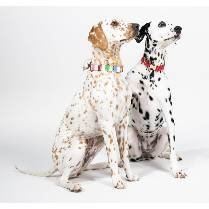 Ошийник для собак Kate Spade New York Adventure Stripe Large, золотиста металева пряжка, регульований розмір 39,4 - 61 см, підходить для собак середнього розміру (унісекс), стильний дизайн.