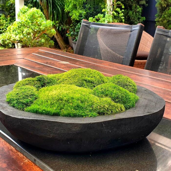 Збережені рослини палка мох подушка булочка подушка натуральний зелений декоративний справжній натуральний зелений DIY kit тераріуми садівництво мистецтво декорування стін флористичний декор (Green-b, 1.5 sq.ft)