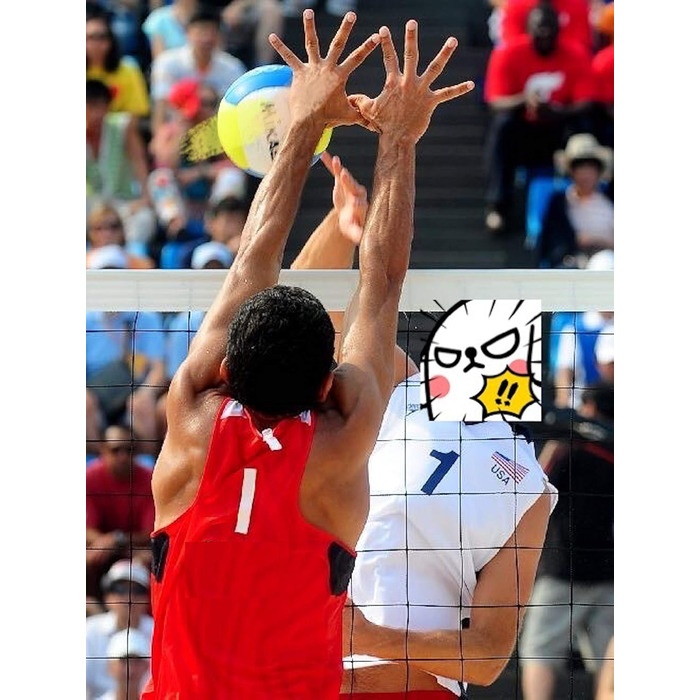 Волейбольна сітка (змінне полотно) VEVOR зі сталевим тросом, 90 x 90 см, для міні-волейболу, басейну, заднього двору