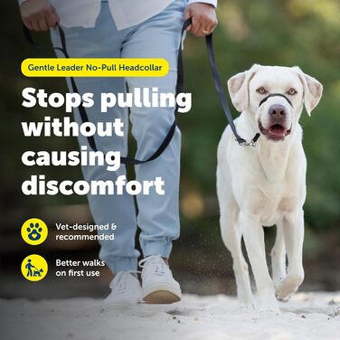 М'який нашийник-упряж для собак, що запобігає тягненню, перенаправляє зусилля собаки для комфортніших прогулянок, допомагає відновити контроль, розмір L, антрацитово-сірий
