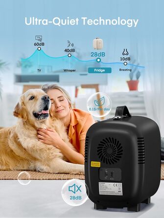 Міні-холодильник 5 літрів, 6 банок міні-холодильник 12В-220В, блок живлення USB для кімнати, догляду за шкірою, офісу або автомобі