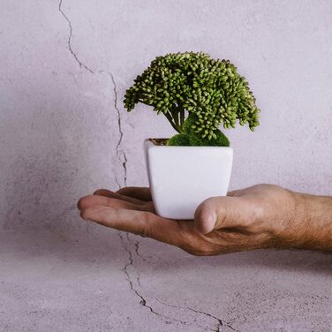 Мохові камені штучний зелений декор штучний мох кульки декор мохові кульки мох камені декор штучні камені зелені рослини декор для садових тераріумів декоративні камені мохові камені штучний мох, 8 шт.