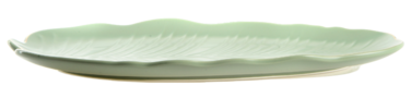 Блюдо Limited Edition Leaf Green Gold (6990674)