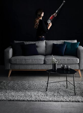 Багатофункціональний Rowenta X-Force Flex 9.60 RH2078wo, червоний/чорний