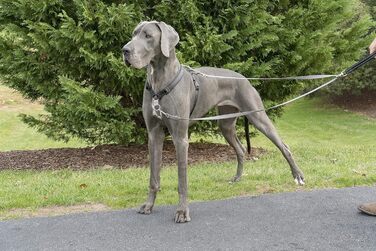 Поводок PetSafe Анти-смичок, сумісний з PetSafe 3-в-1, 1.2 м, з світловідбиваючого нейлону, сірий