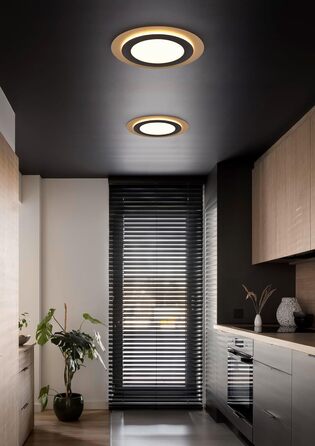 Стельовий LED-світильник Trio Leuchten Morgan 641519280, матовий чорний/золотий, метал та акрил, 46 Вт, з пультом керування, діаметр 45 см
