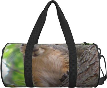 Спортивна дорожня сумка Білочка в дереві, унісекс, велика сумка для подорожей та спорту