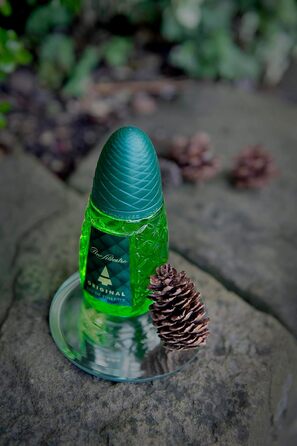 Чоловіча туалетна вода Pino Silvestre Original (125 мл)