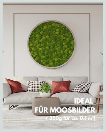 Шаровий мох зберігся Справжній мох для малюнків моху Міцний мох для рукоділля Водостійкий натуральний зелений ісландський мох (250г)