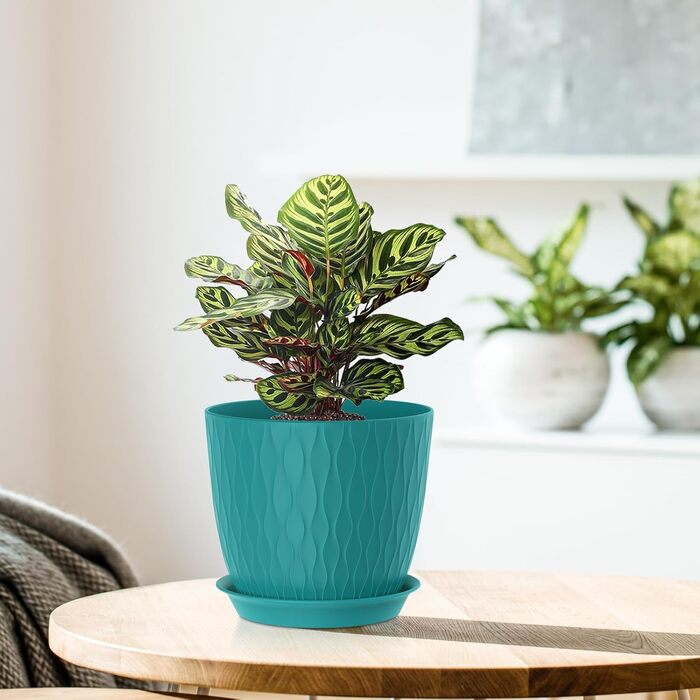 Набір з 5 квіткових горщиків із системою поливу, горщики для рослин діаметром 20,3 см із системою поливу, кашпо з блюдцем, набір квіткових горщиків, ідеально підходить для кімнатних та балконних садів, різнокольорові 8 дюймів