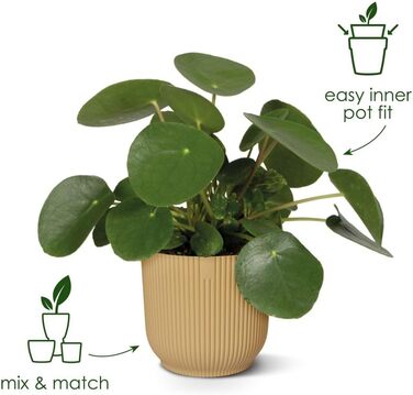 Горщик для рослин - Кімнатний горщик для квітів - 100 перероблений пластик - Ø 18,4 x H 16,8 см - зелений/сорбетний зелений Сорбет