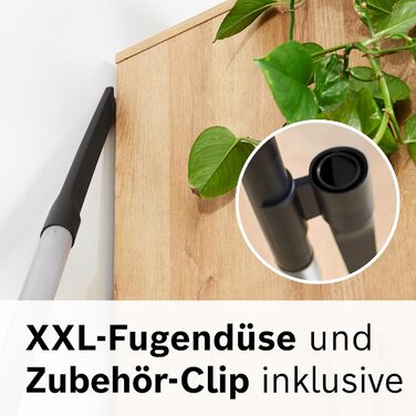 Безмішковий пилосос Bosch серії 6 BGC4HYG, пилосос, ідеально підходить для алергіків, гігієнічний фільтр, 10-річна гарантія на дви