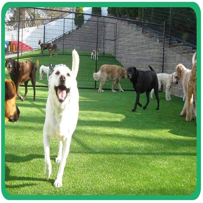 Туалет для собак, килимки зі штучної трави, килимок для дресирування собак, що миється, килимки для дресирування маленьких, великих та старших собак (45 * 60 см) 45 * 60 см