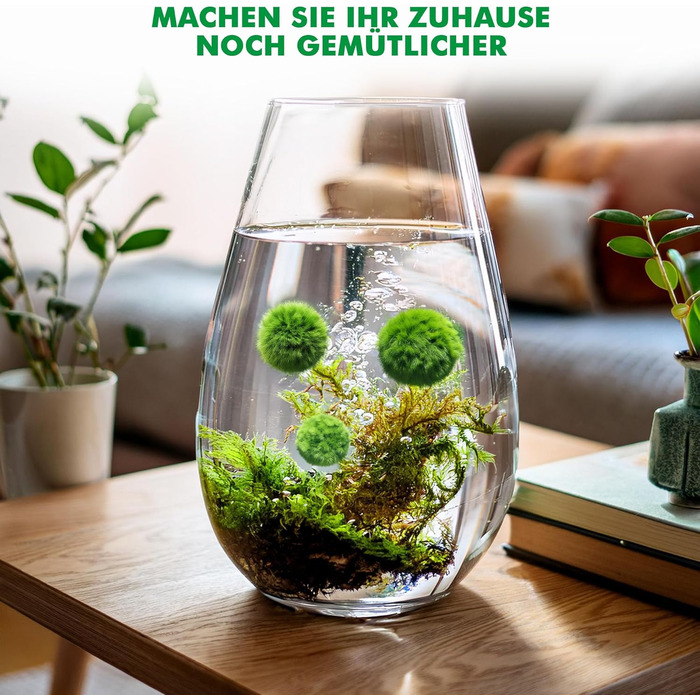 Ук моху, акваріумний мох, справжні мохові кульки для акваріумів, справжня кладофора, натуральні водні рослини для нано- та великих акваріумів, екологічно чисті та стійкі розміри кульок Marimo Moss Balls. 2-3 см, 1