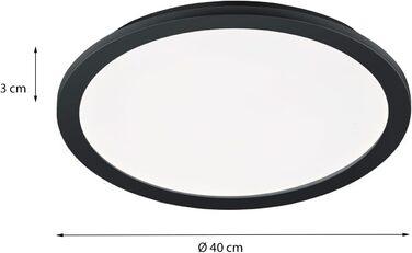 Стельовий LED-світильник Reality Camillus R62922432, матовий чорний пластик, білий акрил, 24 Вт, діаметр 40 см