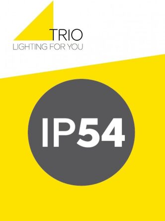 Стельовий світильник Trio Witham 677860142 LED для вулиці, метал антрацит/пластик білий, 10.5 Вт, регульована колірна температура