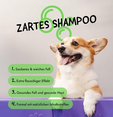 Шампунь для собак Belly Anti-Odor - 250 мл - Зволожувальний та заспокійливий шампунь для собак на основі зеленого чаю та алое вера, нейтральний pH, веганський, без силіконів та парабенів, аромат зеленого чаю