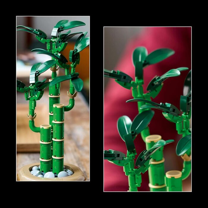Конструктор LEGO Botanicals Lucky Bamboo 10344, 325 деталей, штучний бамбук