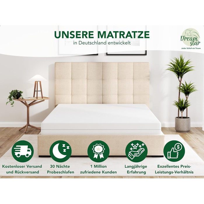 Матрац DREAMSTAR Simple Flex Duo 7-зонний 90x200 см H2&H3 Ергономічний матрац з холодної піни Гіпоалергенний та антибактеріальний Знімний та пральний чохол Oeko-Tex (12 см, 90 x 200 см) 90 x 200 см 12 см