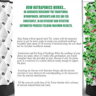 Гідропонічна система вирощування. Набір для аеропоніки для вирощування трав, фруктів та овочів із гідратаційним насосом, адаптером, сітчастими горщиками, таймером для трав, фруктів та овочів