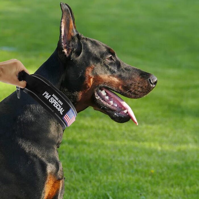 Тактичний нашийник для собак, міцний, світловідбиваючий нашийник з ручкою, широкий нашийник для середніх та великих порід, ширина 6,6 см, військовий нашийник з регульованим обхватом шиї 44-64 см, чорний