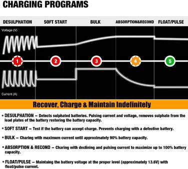 Автоматичний зарядний пристрій для автомобілів, мотоциклів, квадроциклів, будинків на колесах, електромобілів, катерів, 00205A 12V
