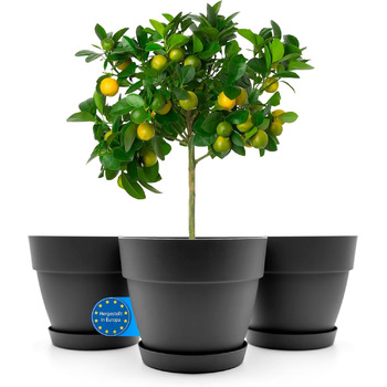 Горщик для квітів з блюдцем круглий ø47 см в антрацитовому кольорі - кашпо підходить для внутрішнього та зовнішнього використання