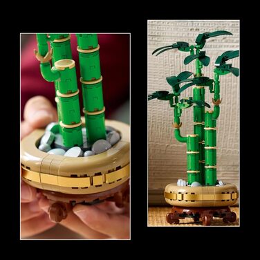 Конструктор LEGO Botanicals Lucky Bamboo 10344, 325 деталей, штучний бамбук