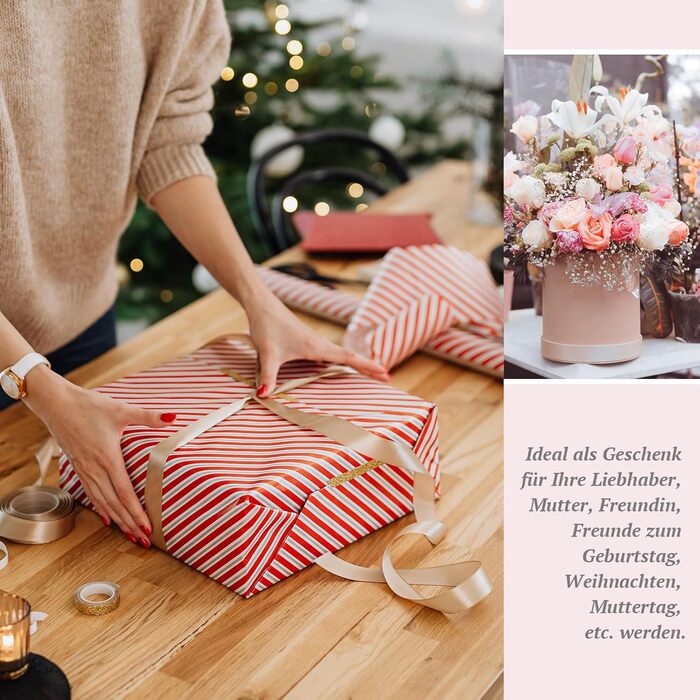 Стартовий набір VANREESA з лампою (16 кольорів)