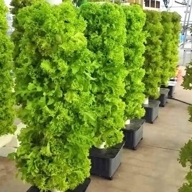 Гідропонна система CAZARU, 45 отворів, 15-ярусний набір для гідропонного вирощування, система безґрунтового вирощування, аеропонна вежа з гідратаційним насосом, таймером, адаптером, грядкою для посіву та сітками