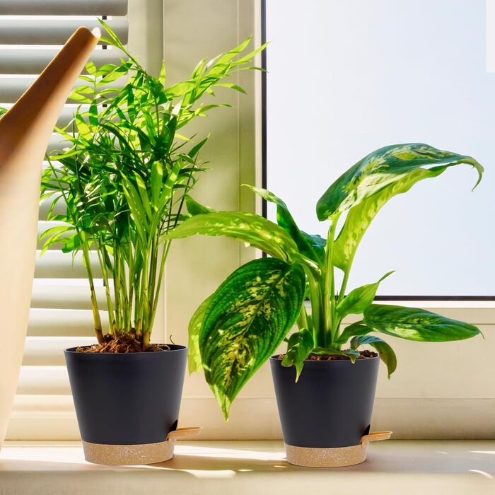 Упаковок квітковий горщик самополивний, 20.3/17.8/16.5/15.2/14/12.7см горщик для рослин з системою зрошення, сівалка з блюдцем, на