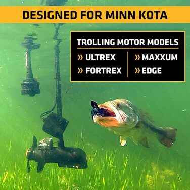 Фотографії, 2