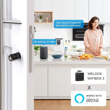 З WIFIBOX 3, електронний дверний замок з RFID-картою Bluetooth WiFi IP65, працює з Alexa, регулювання для дверей 50-100 мм, 41