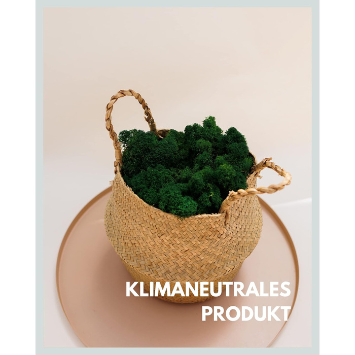 Ісландський мох збережений темно-зелений Прикраса з моху для рукоділля 1 кг справжнього декоративного ісландського моху для малюнків з моху та стін з моху