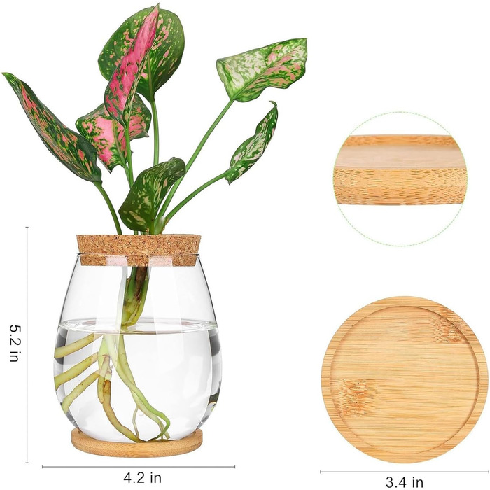 Станції для розмноження рослин, окремий набір настільних тераріумів для рослин з дерев'яним піддоном і кришкою для гідропонного розмноження, 2