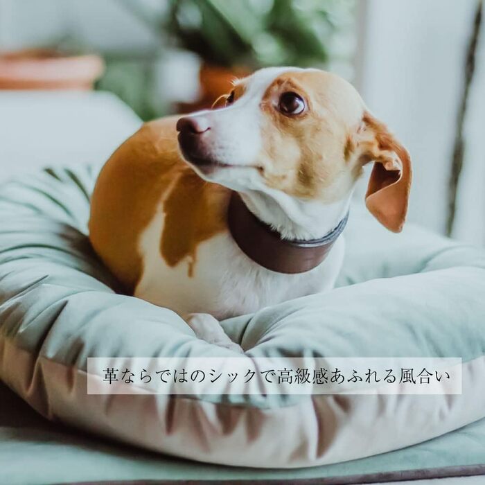 Ошийник для собак Ferplast VIP CW15/32, шкіряний, м'яко підбитий, ширина 1,5 см, обхват шиї 26-32 см, коричневий