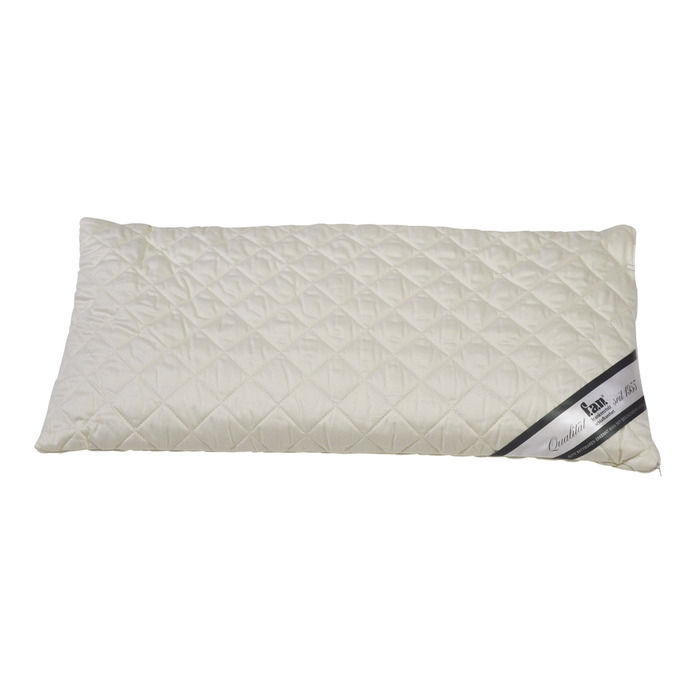 Подушка Frankenstolz 03880-11024-19 Dinkelkissen / Medisan Sleep & Care / 040 x 080 см