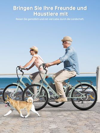 Міський електровелосипед Touroll B2 26 дюймів з двигуном 250 Вт 50 Нм та знімним акумулятором 36 В 561,6 Втгод, міський велосипед з педелектом, електричний велосипед, 25 км/год, запас ходу 100 км, електровелосипеди для дорослих, чоловіків та жінок, міськи