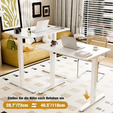 Стіл з регульованою висотою 90x60 см, Електричне регулювання висоти столу з роздільною панеллю, Ергономічний стіл з регульованою висотою, Білий 90 x 60 см