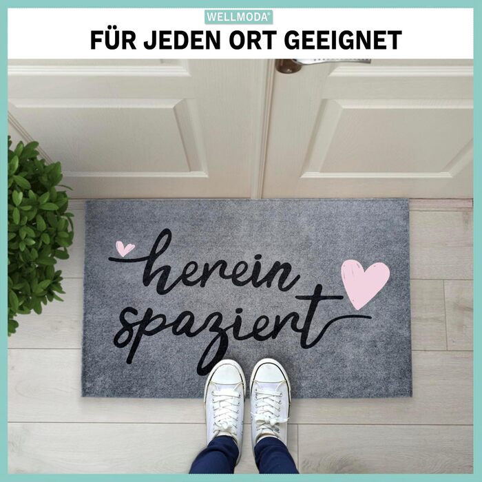 Килимок для дверей Ласкаво просимо Можна прати в пральній машині та нековзний Килимок для дверей для приміщень та вулиці Килимок для дверей та прикраса для дверей, 40x60 см та сірий 40 x 60 см (прямокутний) Ласкаво просимо