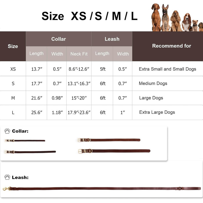 Комплект повідця та нашийника Зоряний Провідник, 1.8 м, м'яка плетенка зі шкіри, з регульованим нашийником для собак малих, середніх та великих порід (розмір М)