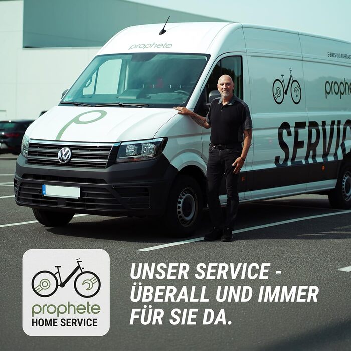 Електровелосипед Prophete Entdecker 5.0 28-дюймовий трекінговий велосипед двигун AEG SportDrive II із середнім приводом 250 Вт/100 Нм акумулятор 48 В/720 Втгод із запасом ходу до 220 км 10-ступінчаста коробка передач Deore гідравлічні дискові гальма, трап