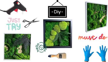 Мох Hello Moss для крафта - набір, що складається з 6 кулькових мохів ісландського моху, 1 пластинчастого моху, стабілізованого амаранту та японського кореня - збережений живий мох - набір DIY із зображенням моху (середньозелений)