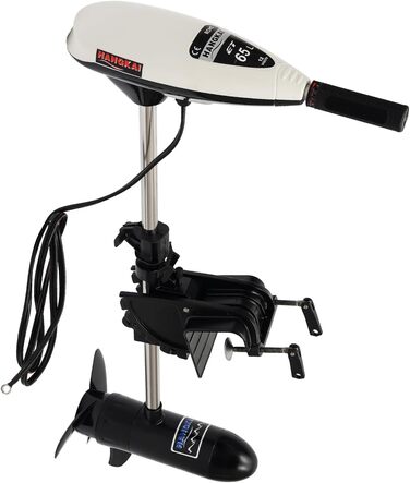 Підвісний мотор Електромоторний човновий мотор Підвісний мотор 660 Вт, 12V 65LBS