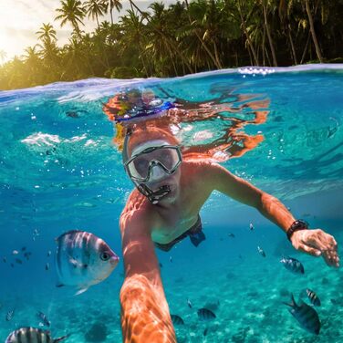 Набір для снорклінгу для дорослих, маска для дайвінгу з трубкою, повністю суха для чоловіків та жінок, захист від протікання та запотівання, L/XL EU (41-47) US (8-13) з ластами, темно-зелений