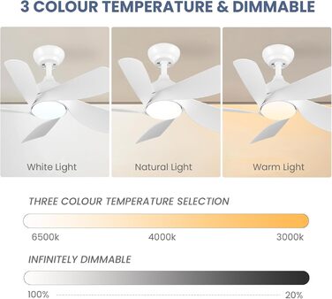 Стельовий вентилятор CJOY 76 см з підсвічуванням і пультом дистанційного керування Безшумний, лампа з вентилятором, що регулюється