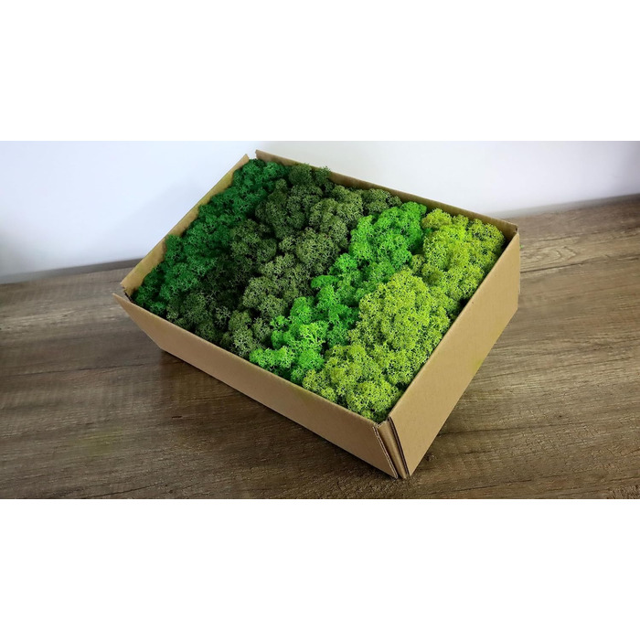 Ісландський норвезький мох Hello Moss 0,5/1 кг - консервований живий мох, повністю органічний - ідеальне прикраса з моху на Великдень, різдвяні прикраси - ремісничий мох, тераріумний мох (1 кг, зелене світло трави)