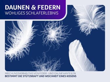 Пухова подушка Traumnacht Comfort з високоякісним напівпуховим наповнювачем та пухостійким чохлом зі 100 бавовни, сертифікована Oeko-Tex, 80 x 80 см, виготовлена за німецькими стандартами якості, 1 пухова подушка 80 x 80 см