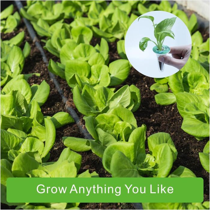 Губки для росту Rigute, 12, набір систем для гідропонного вирощування, включаючи 30 шт. Гідропонного кошика для посадки, 30 шт. Гідропонних ізольованих кришок, 30 шт. Губки для рослин, 30 шт. етикеток